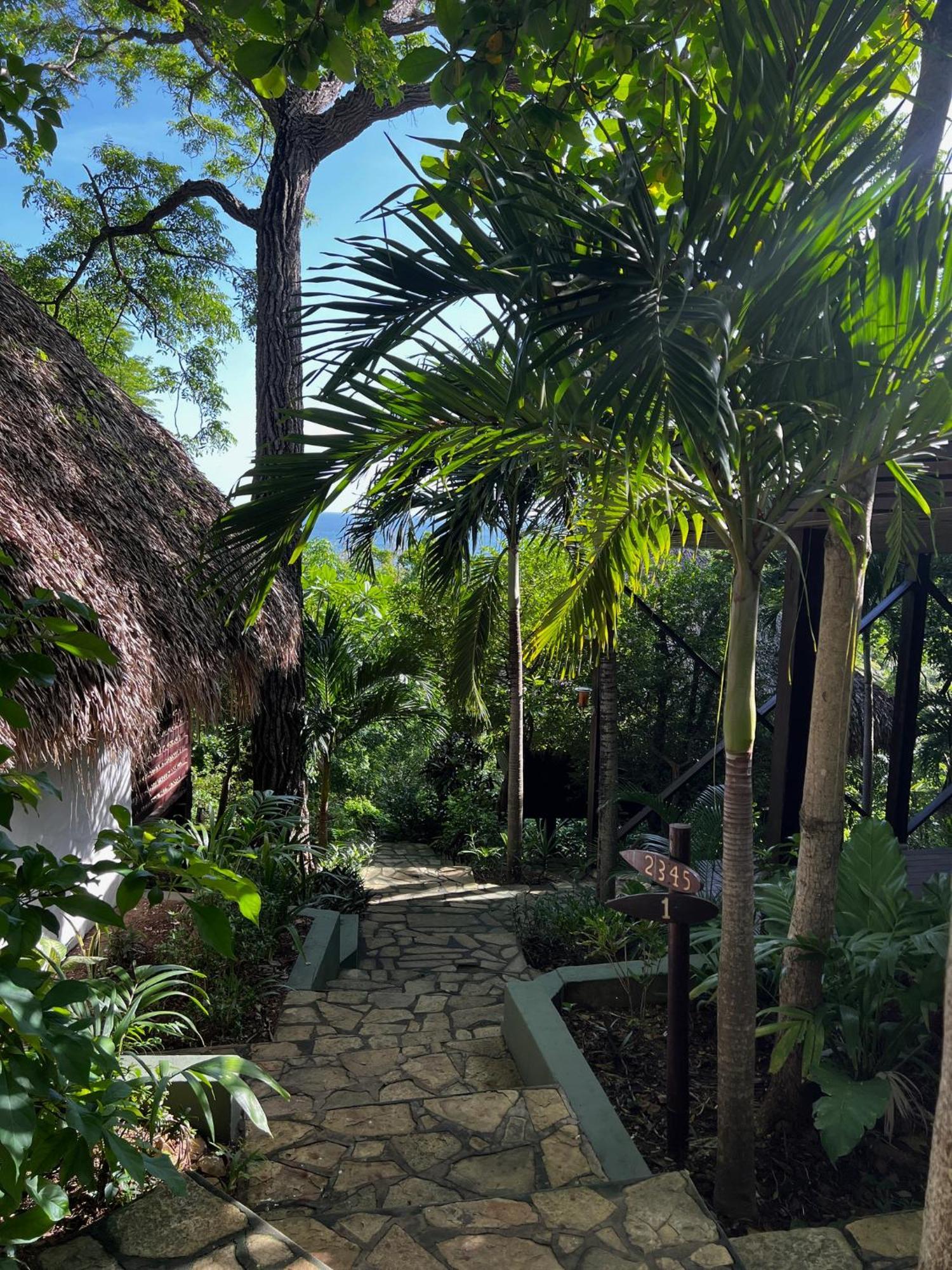 ホテル Buena Vista Surf Club El Plantel エクステリア 写真