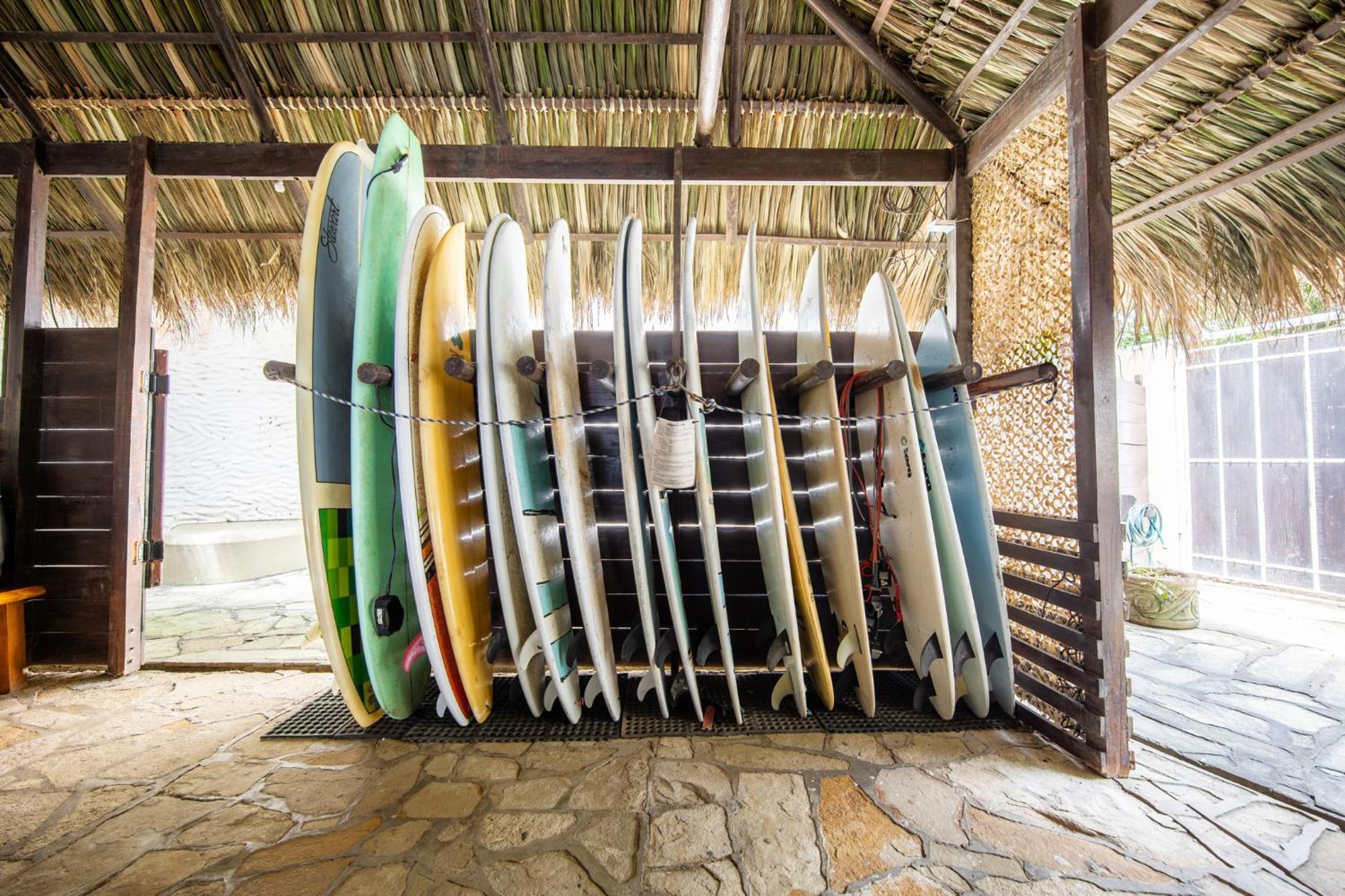 ホテル Buena Vista Surf Club El Plantel エクステリア 写真